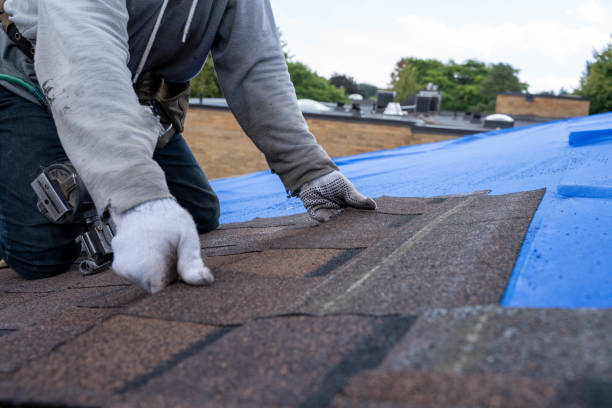 Best Shingle Roofing Installation  in Arapahoe, WY