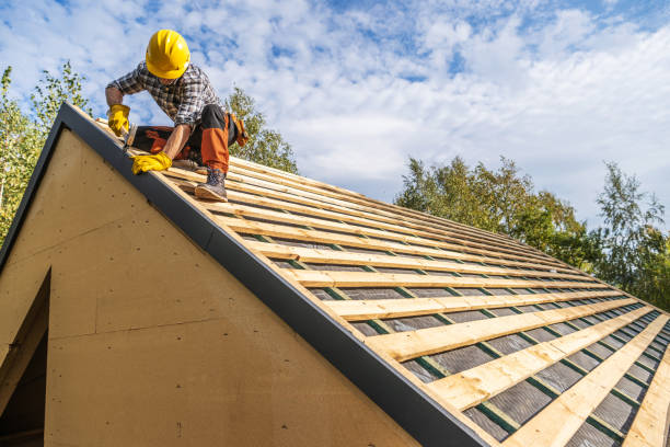 Best Roof Leak Repair  in Arapahoe, WY